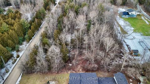 Photo 9 at Lot 22 Routley Avenue, Pefferlaw, Georgina