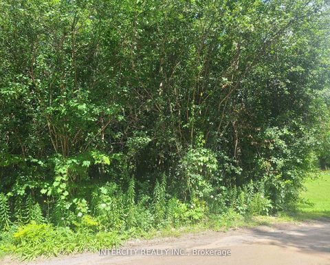 Photo 26 at Lot 22 Routley Avenue, Pefferlaw, Georgina