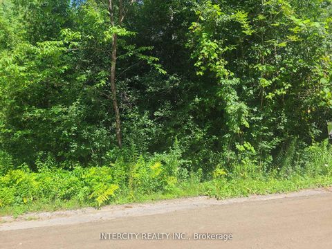 Photo 27 at Lot 22 Routley Avenue, Pefferlaw, Georgina