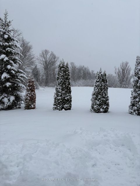 Photo 34 at 69 Corner Brook Trail, Rural Innisfil, Innisfil