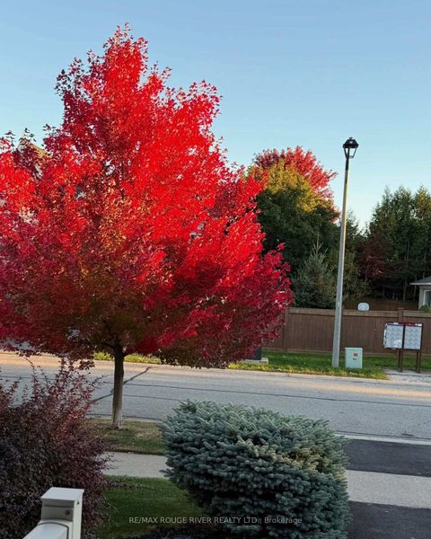 Photo 46 at 69 Wessex Drive, Brooklin, Whitby