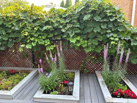 Photo 43 at 682 Napa Valley Avenue, Sonoma Heights, Vaughan