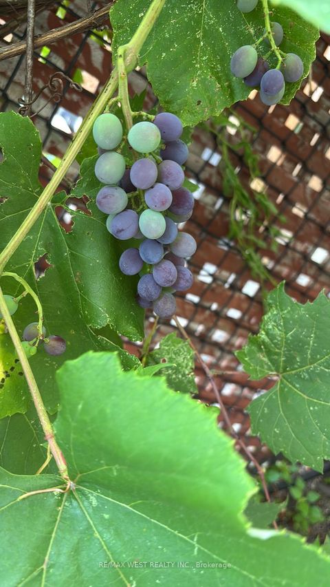 Photo 45 at 682 Napa Valley Avenue, Sonoma Heights, Vaughan