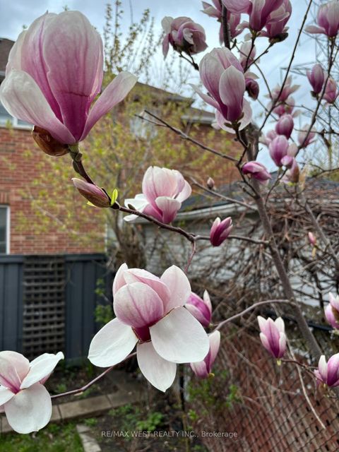 Photo 46 at 682 Napa Valley Avenue, Sonoma Heights, Vaughan