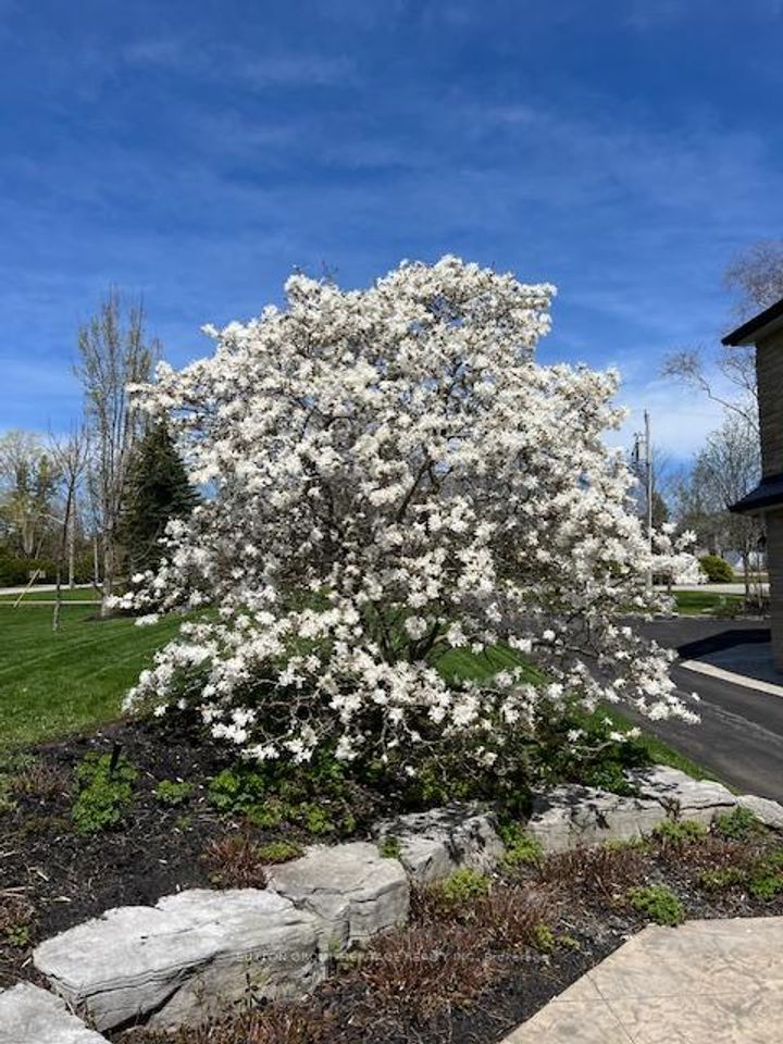 Photo 5 at 285 Stephenson Point Road, Rural Scugog, Scugog