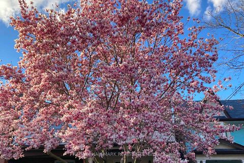 Photo 44 at 24 Richard Avenue, Coxwell, Toronto