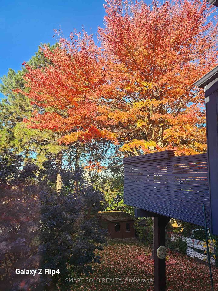 Photo 37 at 48 Patina Drive, Hillcrest Village, Toronto