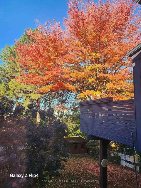 Photo 37 at 48 Patina Drive, Hillcrest Village, Toronto