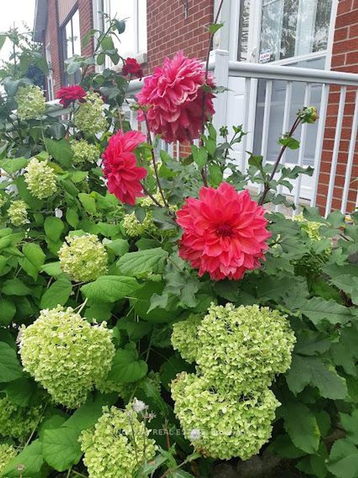 Photo 23 at 184 Edmonton Drive, Pleasant View, Toronto