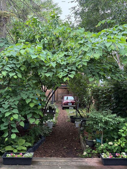 Photo 46 at 36 Golden Avenue, Roncesvalles, Toronto