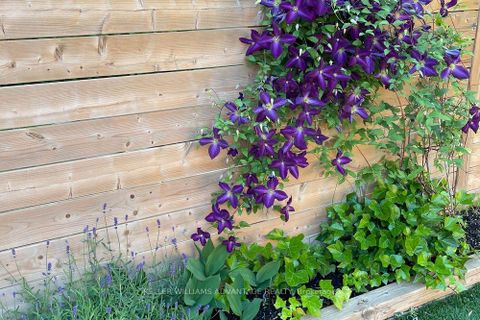 Photo 48 at 554 Balliol Street, Mount Pleasant East, Toronto