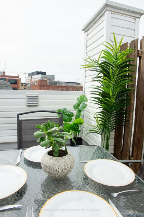 Photo 38 at 27 Sudbury Street, Niagara, Toronto