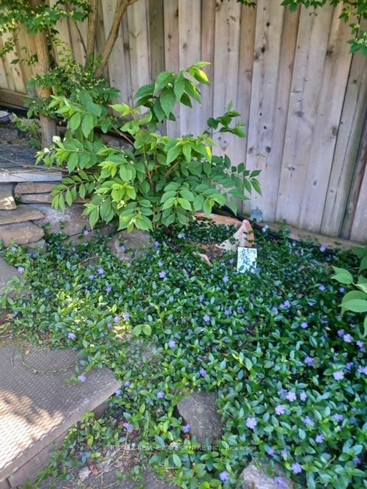 Photo 41 at 1169 Ewing Crescent, East Credit, Mississauga