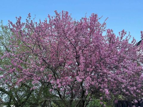 Photo 44 at 459 Sandford Street, Central Newmarket, Newmarket