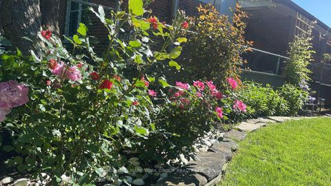 Photo 49 at 459 Sandford Street, Central Newmarket, Newmarket