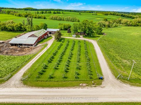Photo 29 at 7470 21/22 Nottawasaga Side Road, Rural Clearview, Clearview