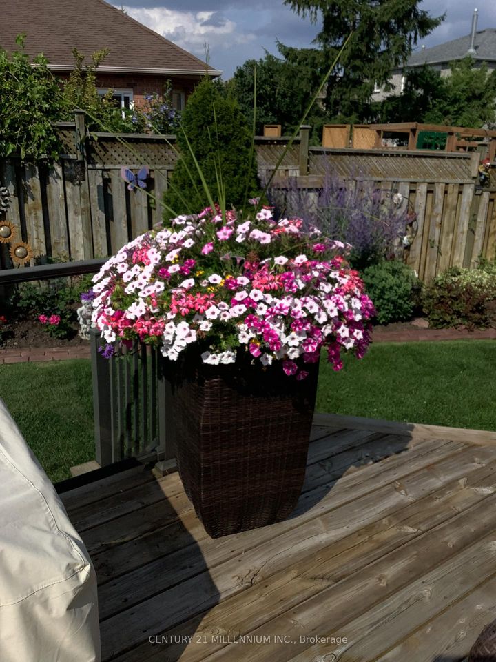 Photo 47 at 93 Samuel Crescent, Georgetown, Halton Hills