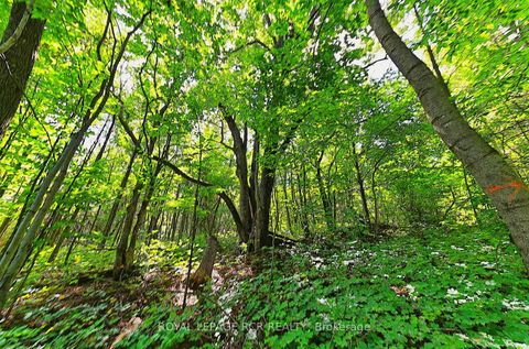 Photo 37 at 1614 Nottawasaga Concession Rd 10, Rural Clearview, Clearview