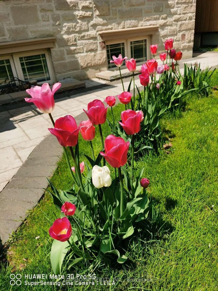 Photo 45 at 38 Pheasant Road, Newtonbrook East, Toronto