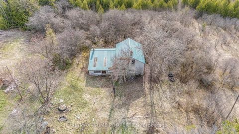 Photo 7 at 28171 Highway 48, Baldwin, Georgina