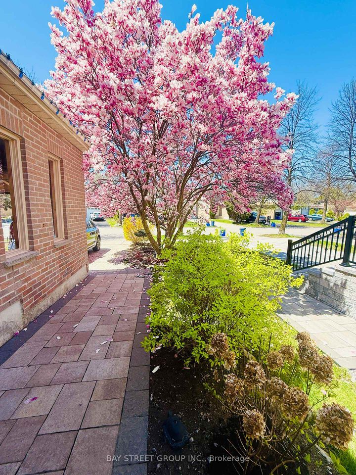 Photo 5 at 43 Bluesky Crescent, Observatory, Richmond Hill