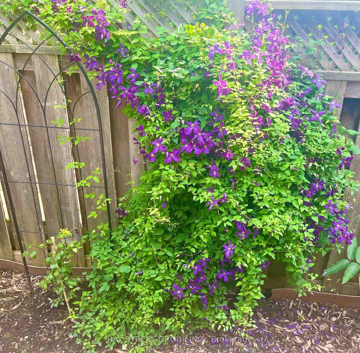 Photo 12 at 43 Bluesky Crescent, Observatory, Richmond Hill