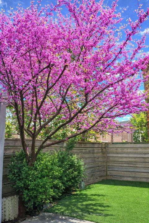 Photo 45 at 97 Olive Avenue, Annex, Toronto