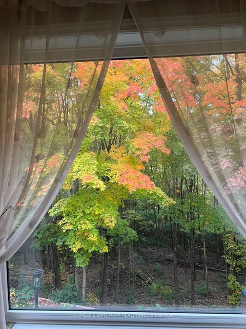 Photo 18 at 22 Coreydale Court, Bathurst Manor, Toronto