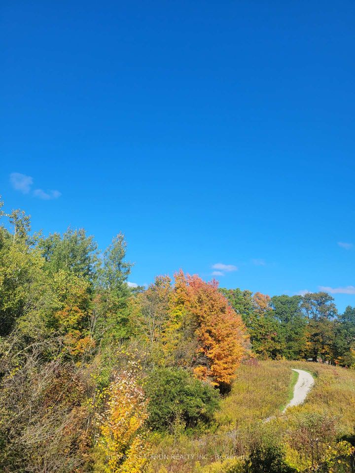 Photo 42 at 10 Dovetail Drive, Oak Ridges Lake Wilcox, Richmond Hill