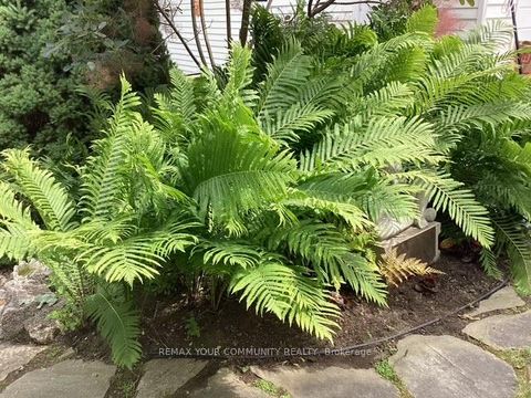 Photo 43 at 30 Dunning Avenue, Aurora Village, Aurora