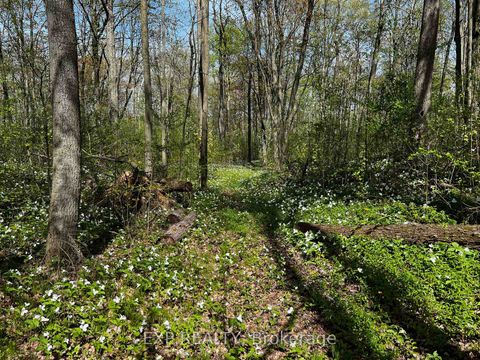 Photo 43 at 115 Fog Road, Rural King, King