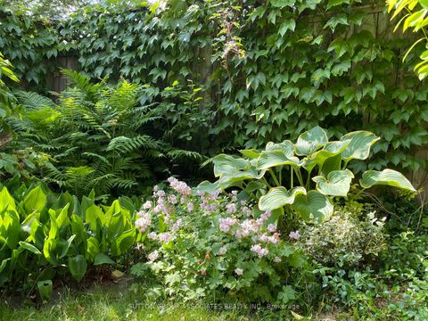 Photo 42 at 50 Thornhill Avenue, Lambton Baby Point, Toronto