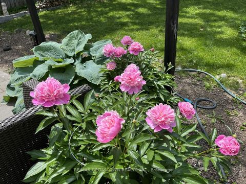 Photo 38 at 99 Bishop Drive, Ardagh, Barrie