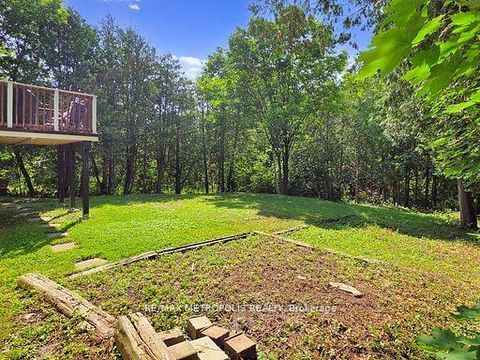 Photo 41 at 1000 Elgin Street, Leslie Valley, Newmarket