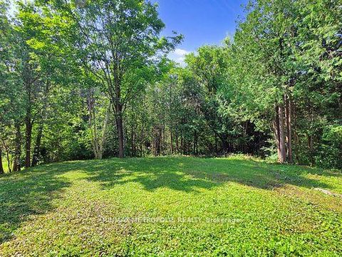 Photo 42 at 1000 Elgin Street, Leslie Valley, Newmarket