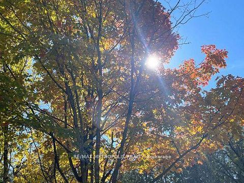 Photo 48 at 1000 Elgin Street, Leslie Valley, Newmarket