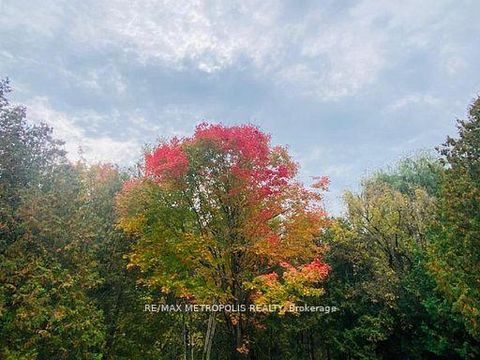 Photo 49 at 1000 Elgin Street, Leslie Valley, Newmarket