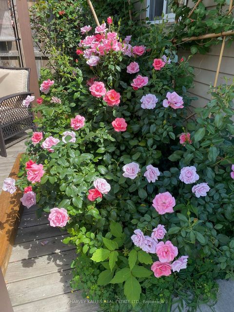 Photo 33 at 71 Dentonia Park Avenue, Crescent Town, Toronto