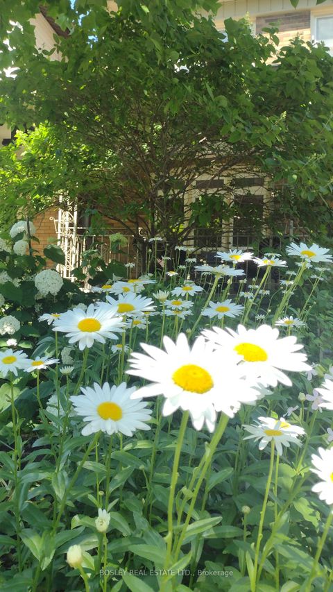 Photo 9 at 14 Crang Avenue, Oakwood Village, Toronto