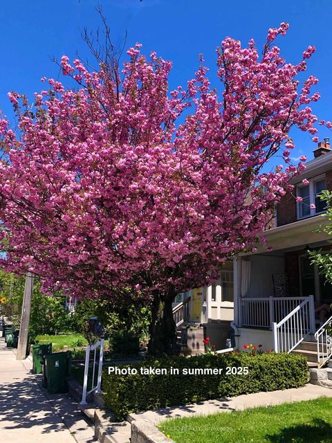 Photo 33 at 31 Mcroberts Avenue, Davenport, Toronto