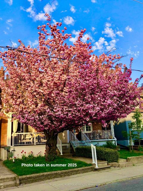 Photo 34 at 31 Mcroberts Avenue, Davenport, Toronto