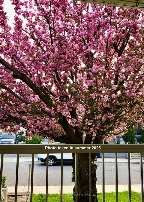 Photo 35 at 31 Mcroberts Avenue, Davenport, Toronto