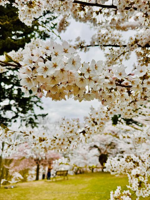 Photo 34 at 403 - 45 Southport Street, Swansea, Toronto