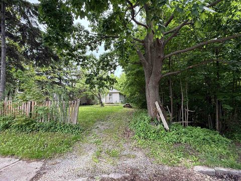 Photo 2 at 31 Maple Bush Avenue, Pelmo Park W4, Toronto