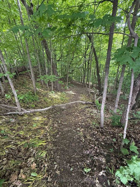 Photo 3 at 31 Maple Bush Avenue, Pelmo Park W4, Toronto