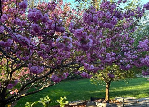 Photo 35 at 238 Mill Street, Mill Pond, Richmond Hill