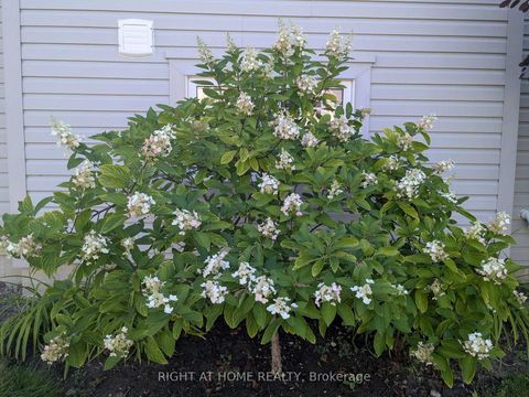 Photo 44 at 28 Timberbank Square, Sutton & Jackson's Point, Georgina