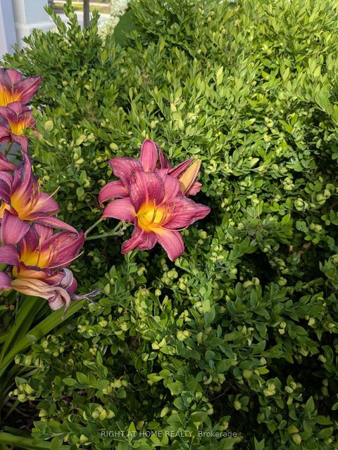 Photo 45 at 28 Timberbank Square, Sutton & Jackson's Point, Georgina