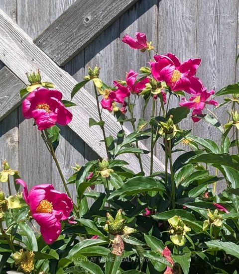 Photo 46 at 28 Timberbank Square, Sutton & Jackson's Point, Georgina