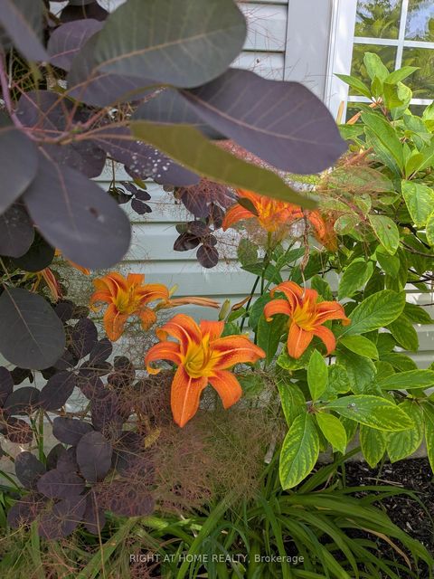 Photo 47 at 28 Timberbank Square, Sutton & Jackson's Point, Georgina